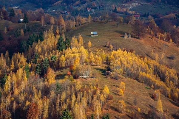 루마니아의 카르파티아에 매력적 지역이다 브라쇼브의 자연의 — 스톡 사진