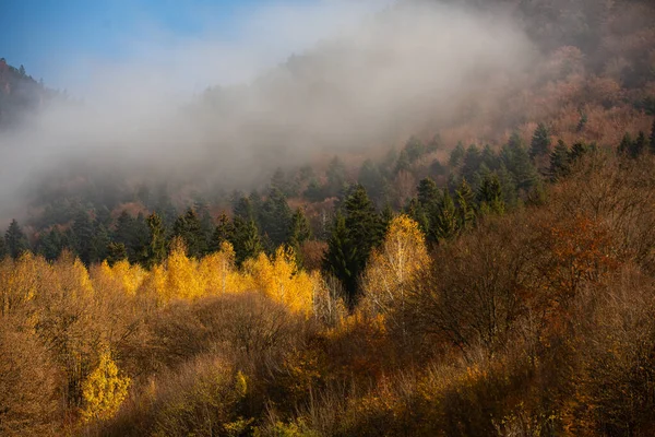 罗马尼亚喀尔巴阡山脉迷人的山景 欧洲布拉索夫的秋季自然 — 图库照片