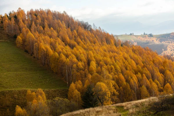 Uroczy Górski Krajobraz Karpatach Rumunia Jesienna Przyroda Brasov Europa — Zdjęcie stockowe