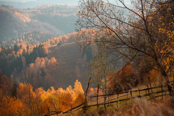 Egy Bájos Hegyi Táj Kárpátok Románia Őszi Természet Brassóban Európában — Stock Fotó