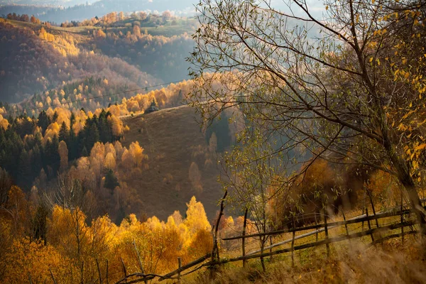 Привабливий Гірський Краєвид Карпат Румунія Осінь Брашові Європа — стокове фото