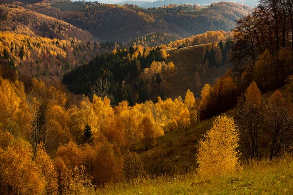 Uroczy Górski Krajobraz Karpatach Rumunia Jesienna Przyroda Brasov Europa — Zdjęcie stockowe