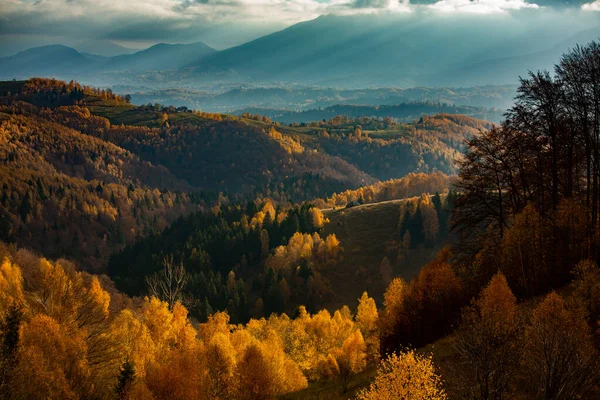 Очаровательный Горный Пейзаж Карпатах Румыния Осенняя Природа Брашове Европа — стоковое фото