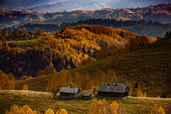Charmerende Bjerglandskab Karpaterne Rumænien Efterår Natur Brasov Europa - Stock-foto