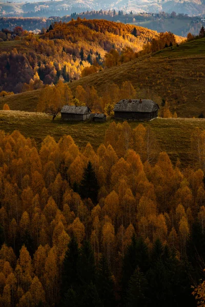Eine Reizvolle Berglandschaft Den Karpaten Rumänien Herbstliche Natur Brasov Europa — Stockfoto