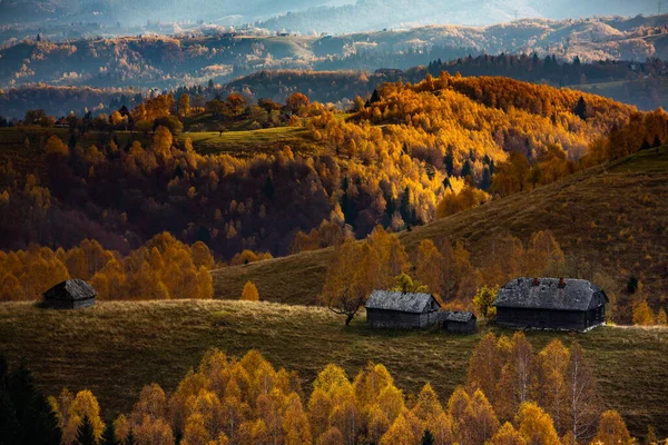 루마니아의 카르파티아에 매력적 지역이다 브라쇼브의 자연의 — 스톡 사진