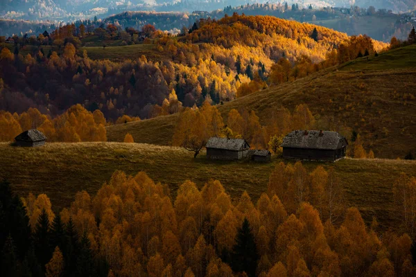 Очаровательный Горный Пейзаж Карпатах Румыния Осенняя Природа Брашове Европа — стоковое фото