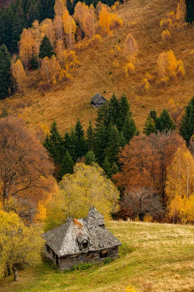 Romanya Karpatlar Büyüleyici Bir Dağ Manzarası Brasov Avrupa Sonbahar Doğası — Stok fotoğraf