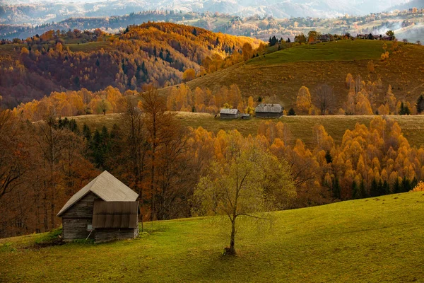 Romanya Karpatlar Büyüleyici Bir Dağ Manzarası Brasov Avrupa Sonbahar Doğası — Stok fotoğraf