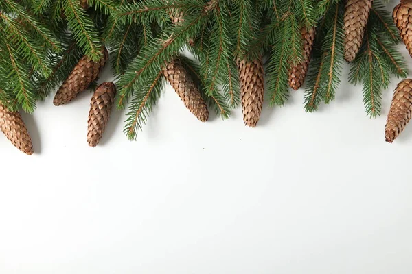 节日用松树枝条制作贺卡或横幅 圣诞快乐的背景和2023年的新年快乐 — 图库照片