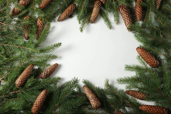 Bayram Tebrik Kartı Çam Ağacı Dallı Pankart Mutlu Noeller Mutlu — Stok fotoğraf