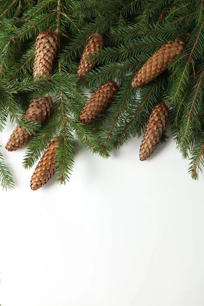 Holidays Greeting Card Banner Composition Pine Tree Branches Merry Christmas — Stock Photo, Image