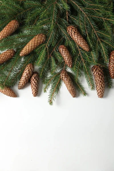 Holidays Greeting Card Banner Composition Pine Tree Branches Merry Christmas — Stock Photo, Image