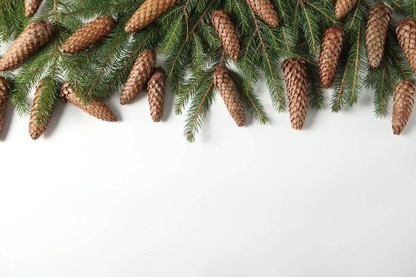 Weihnachtsgrußkarte Oder Bannerkomposition Mit Tannenzweigen Frohe Weihnachten Und Ein Gutes — Stockfoto