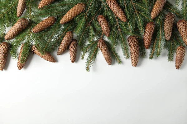 Weihnachtsgrußkarte Oder Bannerkomposition Mit Tannenzweigen Frohe Weihnachten Und Ein Gutes — Stockfoto