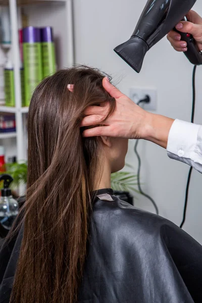 A straight healthy brunette hair that has undergone the hair straightening procedure. straight, shiny and healthy brunette hair