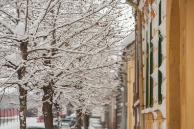 Rasnov, Romania  February 04 2023: It snowed beautifully in the medieval town of Rasnov in Romania.