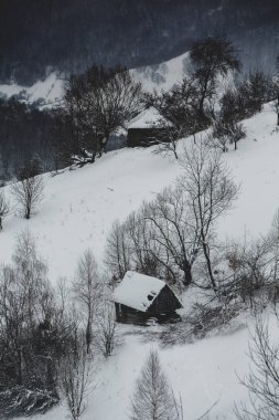 An abundant snowfall in the Romanian Carpathians in the village of Sirnea, Brasov. Real winter with snow in the country