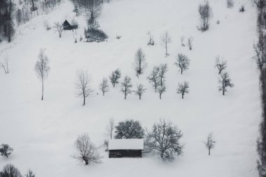 An abundant snowfall in the Romanian Carpathians in the village of Sirnea, Brasov. Real winter with snow in the country