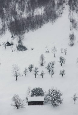An abundant snowfall in the Romanian Carpathians in the village of Sirnea, Brasov. Real winter with snow in the country