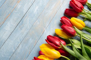 Üzerinde pembe ve beyaz renkli lale demeti olan pankart. Bahar kavramı. Çiçek arkaplanı.