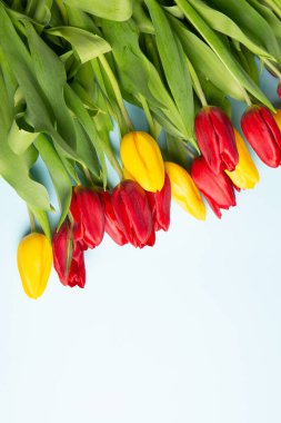 Üzerinde pembe ve beyaz renkli lale demeti olan pankart. Bahar kavramı. Çiçek arkaplanı.