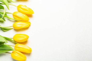 Üzerinde pembe ve beyaz renkli lale demeti olan pankart. Bahar kavramı. Çiçek arkaplanı.