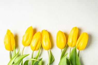 Üzerinde pembe ve beyaz renkli lale demeti olan pankart. Bahar kavramı. Çiçek arkaplanı.