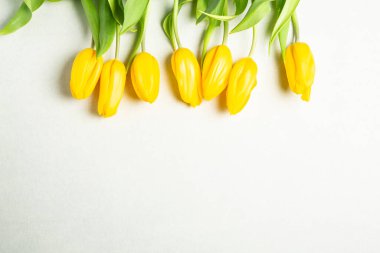 Üzerinde pembe ve beyaz renkli lale demeti olan pankart. Bahar kavramı. Çiçek arkaplanı.