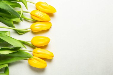 Üzerinde pembe ve beyaz renkli lale demeti olan pankart. Bahar kavramı. Çiçek arkaplanı.