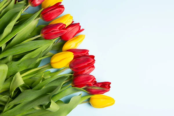 stock image Banner with bouquet of tulips in pink and white colors. Concept of spring. Flowers background.