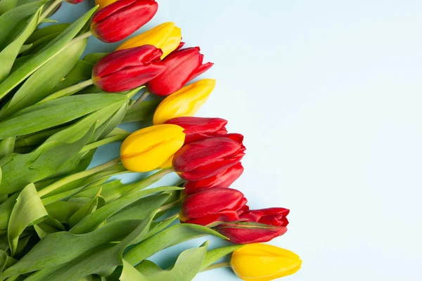 stock image Banner with bouquet of tulips in pink and white colors. Concept of spring. Flowers background.