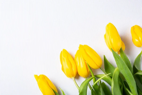 stock image Banner with bouquet of tulips in pink and white colors. Concept of spring. Flowers background.