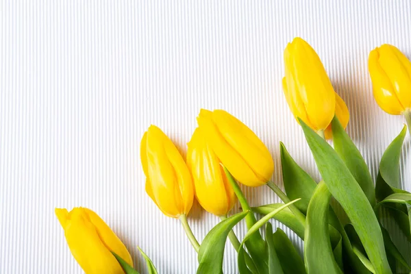 stock image Banner with bouquet of tulips in pink and white colors. Concept of spring. Flowers background.