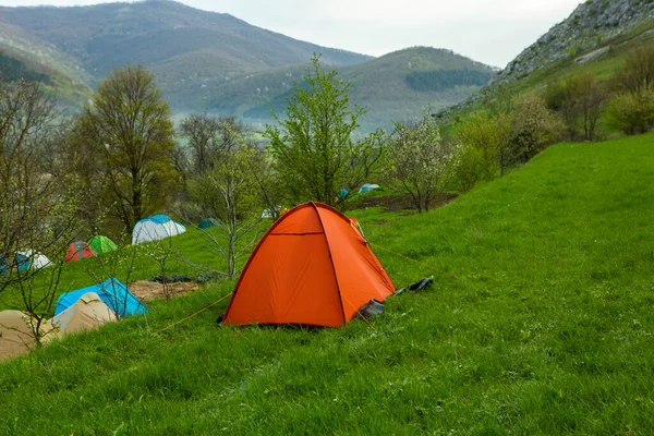 Zelte Auf Einer Grünen Wiese Den Bergen Frühling Rast Mit — Stockfoto
