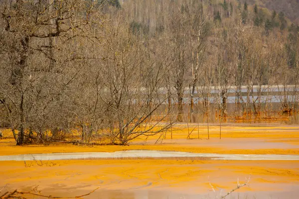 stock image A lake contaminated with toxic waste in the western mountains of Romania. Nature pollution from copper mine. Ecological catastrophe or Environmental disaster