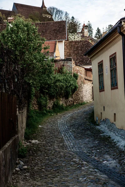 Une Belle Citadelle Médiévale Sighisoara Cœur Roumanie Destination Voyage Transylvanie — Photo
