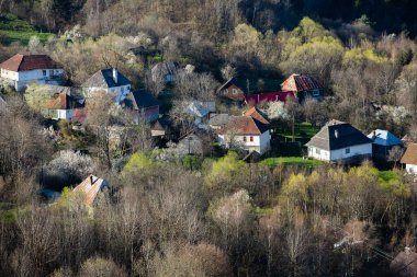 Rosia Montana, Transilvanya 'da güzel eski bir köy. Romanya 'da altın, demir ve bakır çıkarmaya başlayan ilk madencilik kasabası. 