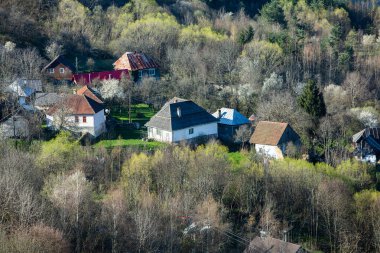 Rosia Montana, Transilvanya 'da güzel eski bir köy. Romanya 'da altın, demir ve bakır çıkarmaya başlayan ilk madencilik kasabası. 