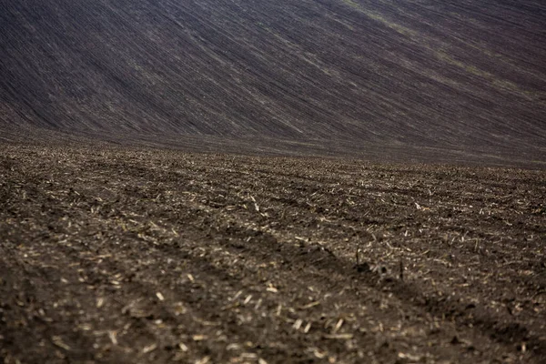 Пшеничное Поле Весной Готово Посеву Сельскохозяйственный Пейзаж Пахотные Земли Готовы — стоковое фото