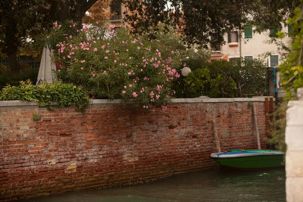 Красива Ранкова Панорама Венеції Італія — стокове фото