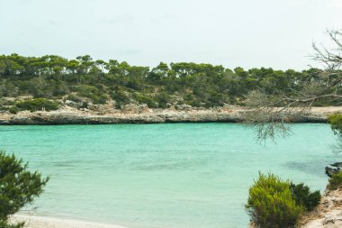 Güzel gün batımı plaj manzarası, egzotik tropik ada doğası, mavi deniz suyu, okyanus dalgaları, renkli kırmızı gökyüzü, Mallorca, İspanya 'da yaz tatili