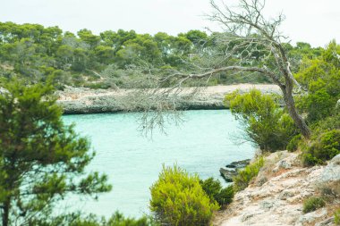 Güzel gün batımı plaj manzarası, egzotik tropik ada doğası, mavi deniz suyu, okyanus dalgaları, renkli kırmızı gökyüzü, Mallorca, İspanya 'da yaz tatili