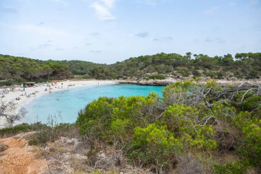 Güzel gün batımı plaj manzarası, egzotik tropik ada doğası, mavi deniz suyu, okyanus dalgaları, renkli kırmızı gökyüzü, Mallorca, İspanya 'da yaz tatili