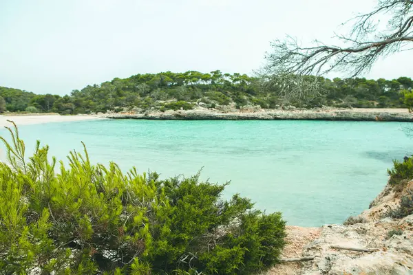 美丽的日落海滩风景 奇异的热带岛屿自然 蓝色海水 五彩斑斓的黄色天空 西班牙马略卡岛的暑假 — 图库照片