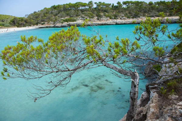 Bellissimo Paesaggio Sulla Spiaggia Tramonto Esotica Natura Tropicale Dell Isola — Foto Stock