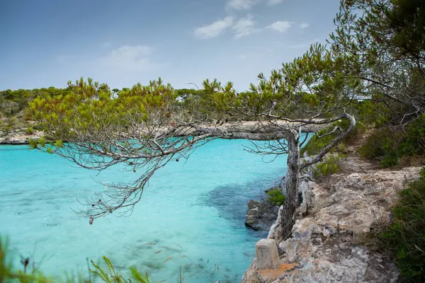 Piękny Zachód Słońca Krajobraz Plaży Egzotyczna Tropikalna Natura Wyspy Błękitna — Zdjęcie stockowe