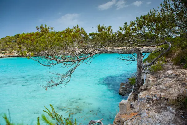 Gyönyörű Naplemente Strand Táj Egzotikus Trópusi Sziget Természet Kék Tenger — Stock Fotó