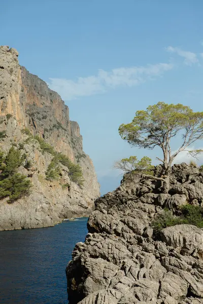 Torrent Pareis Calobra Mallorca 西班牙 美丽的日落海滩风景 奇异的热带岛屿自然 蓝色海水 — 图库照片