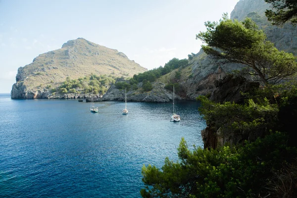 Torrent de Pareis Sa Calobra Mallorca, İspanya. Güzel gün batımı plaj manzarası, egzotik tropik ada doğası, mavi deniz suyu, okyanus dalgaları, yaz tatili